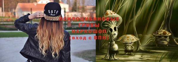 гидропоника Пересвет