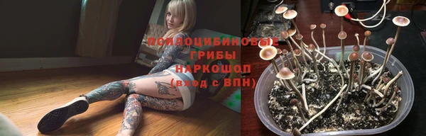 шишки Лиски