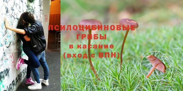 хмурый Тихвин